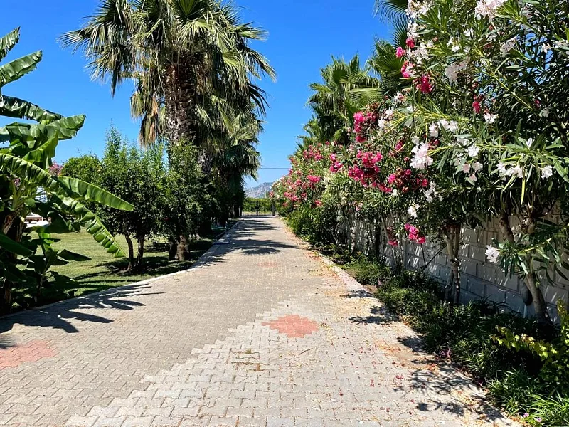 Villa Lale — fotoğraf 15