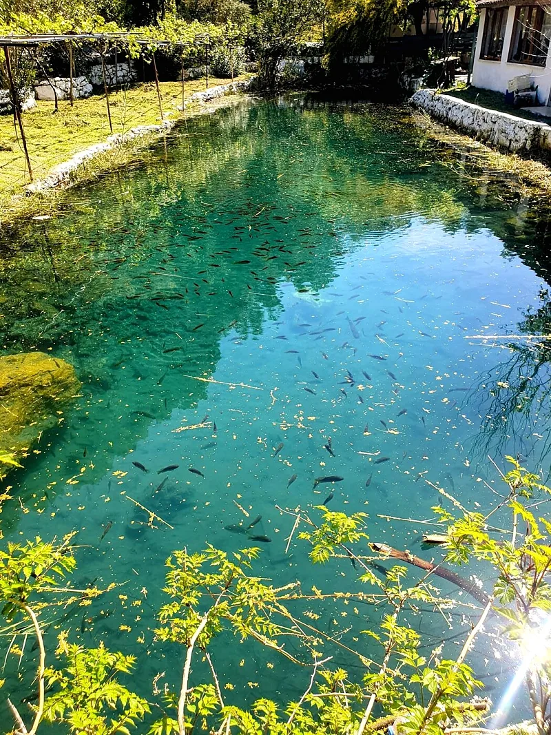 Villa Joy — fotoğraf 59