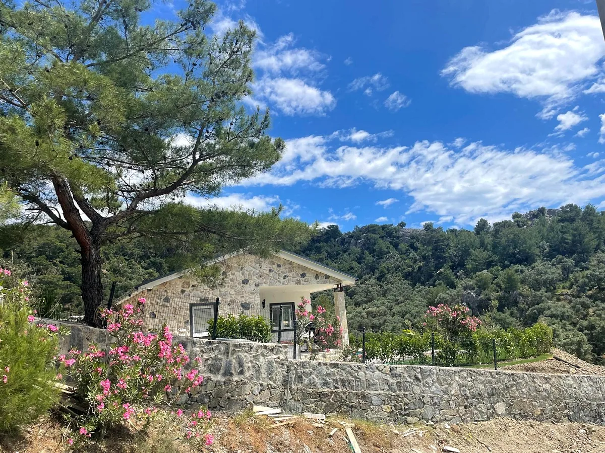 Villa Jakiro — fotoğraf 3