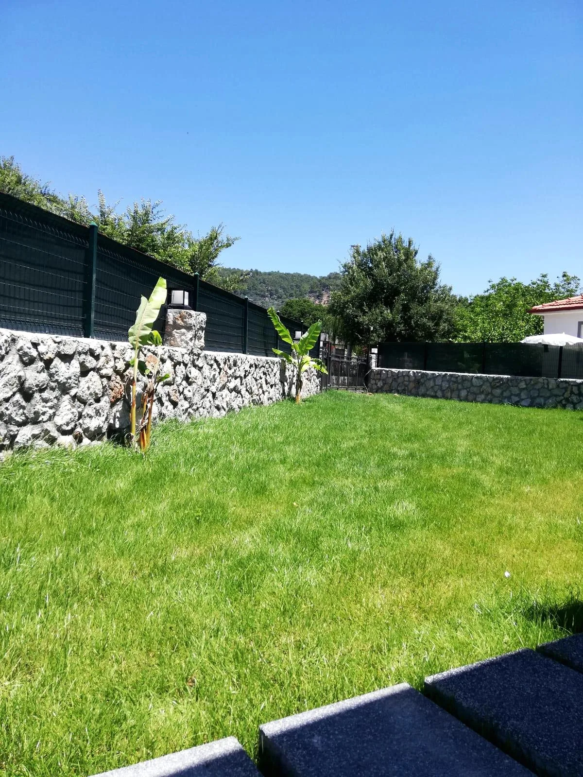 Villa Molly 1 — fotoğraf 4