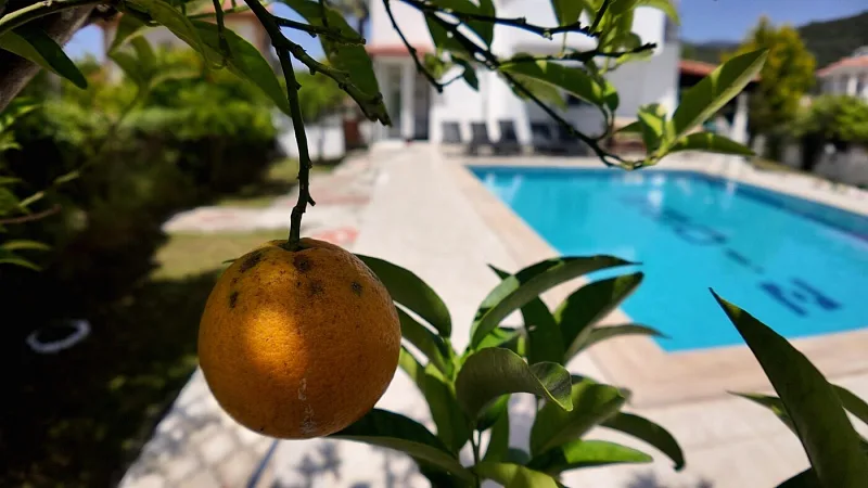 Villa Sparta — fotoğraf 14