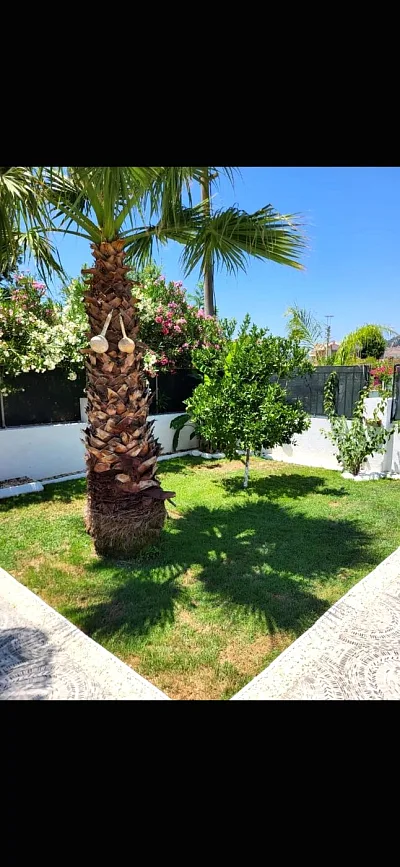 Villa Taşkın Keleş — fotoğraf 7